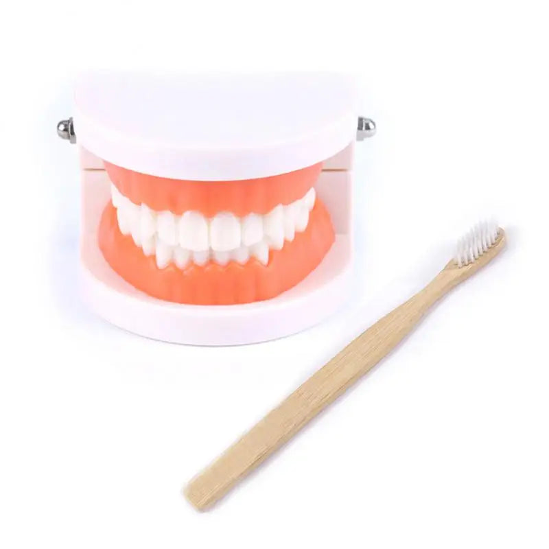 1~10PCS Teaching Teeth Model Children Kid Study Cavities Model Demonstration Tool Standard Dentist Student Decay Model