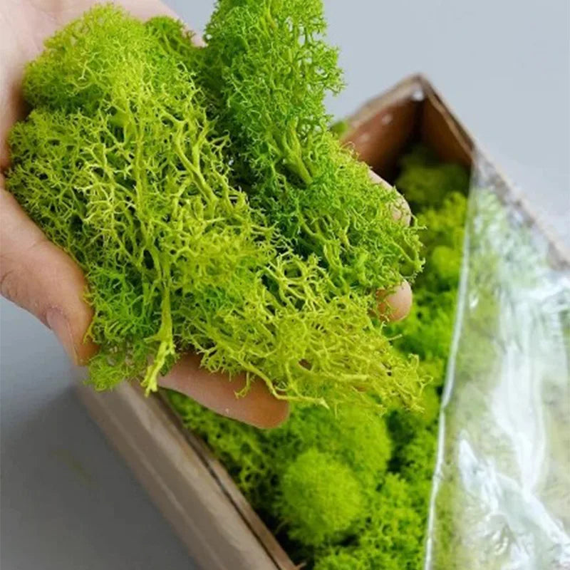 20g Artificial Green Moss Plants Eternal Life Grass Mini Landscape Fake Grass DIY Crafts for Home Living Room Garden Decor