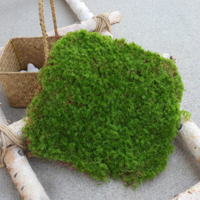 Simulation Moss Grass Turf Lawn Artificial Moss Green Fake Plant for Home Garden Wall Decor Micro Landscape Decoration