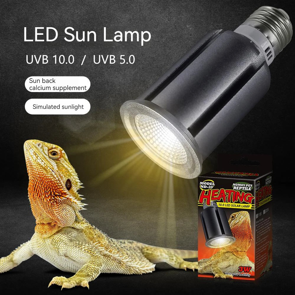 UVA+UVB Full Specstrum Reptile Lamp Tortoise Lizard Basking UV Light Amphibians Sun Lamp Sunbathe Heat Lamp Reptile Accessories