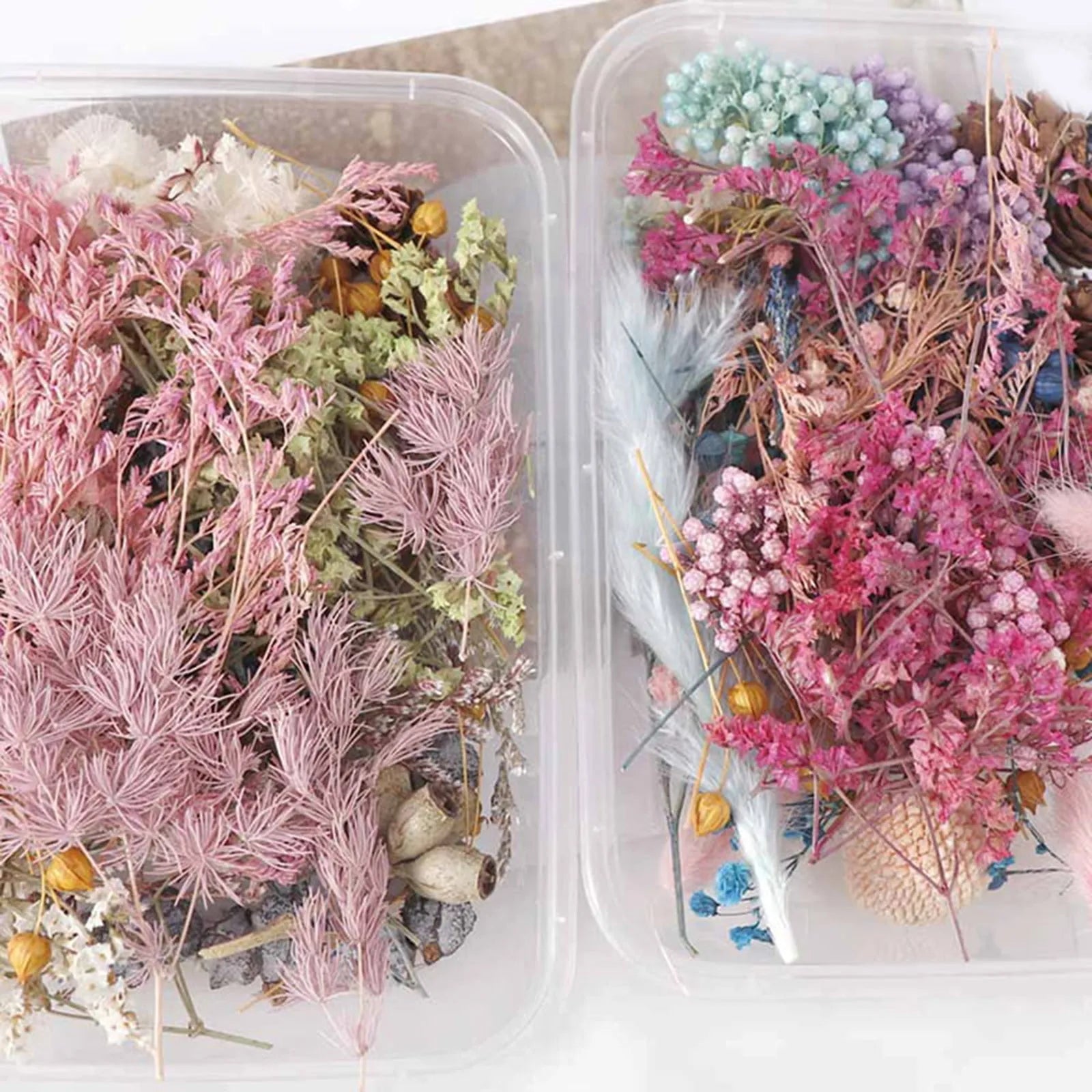 Artificial Plants Natural Dried Flowers for Candles Mold Epoxy Resin DIY Making Decoration Home Accessories Crafts Dry Flowers
