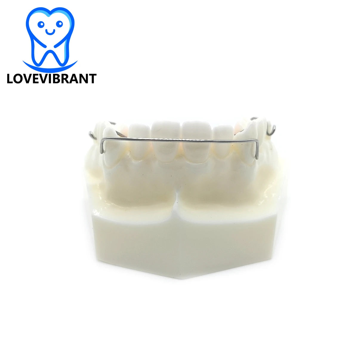 Dental Teaching Model Detachable Maxillary Orthodontics Treatment Hawley Retainer Studying Tooth Mold Dentistry Traning Tools
