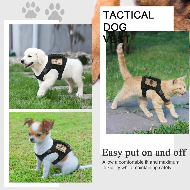Tactical Harness Vest Dog Harness Leash Set for Small Dogs Training Easy Control Vest Pet Chest Strap Accessories for Puppy Cat