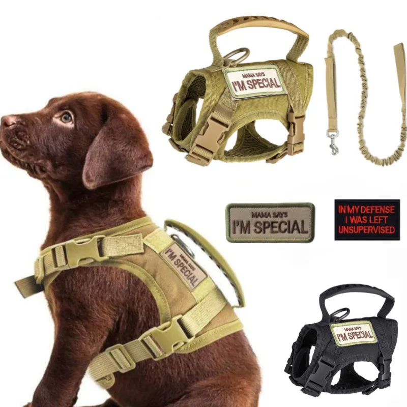 Tactical Harness Vest Dog Harness Leash Set for Small Dogs Training Easy Control Vest Pet Chest Strap Accessories for Puppy Cat