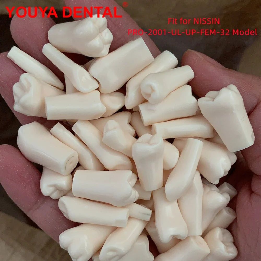 5pcs Dentistry Replacement Teeth Compatible With NISSIN PRO-2001-UL-UP-FEM-32 Dental Model For Training Practice Teaching Study