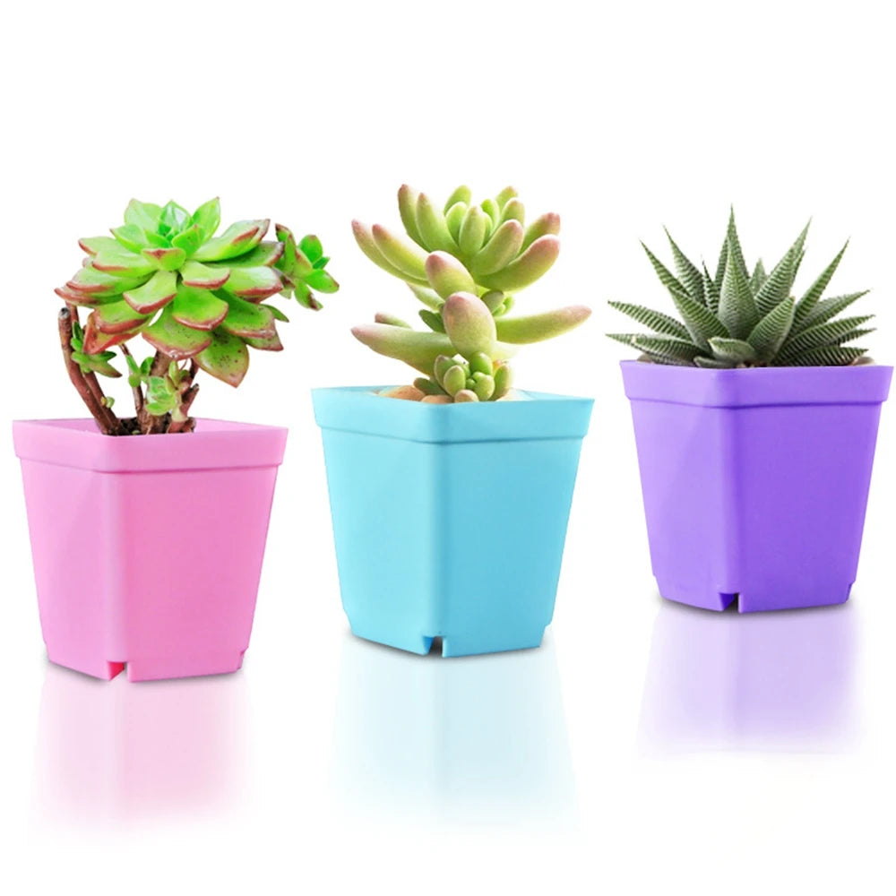 10p Square Nursery Flower Pot Mini Plastic Flower Seedling Pot with Pallet Colorful Square Plant Pot Flower Tray for Home Garde