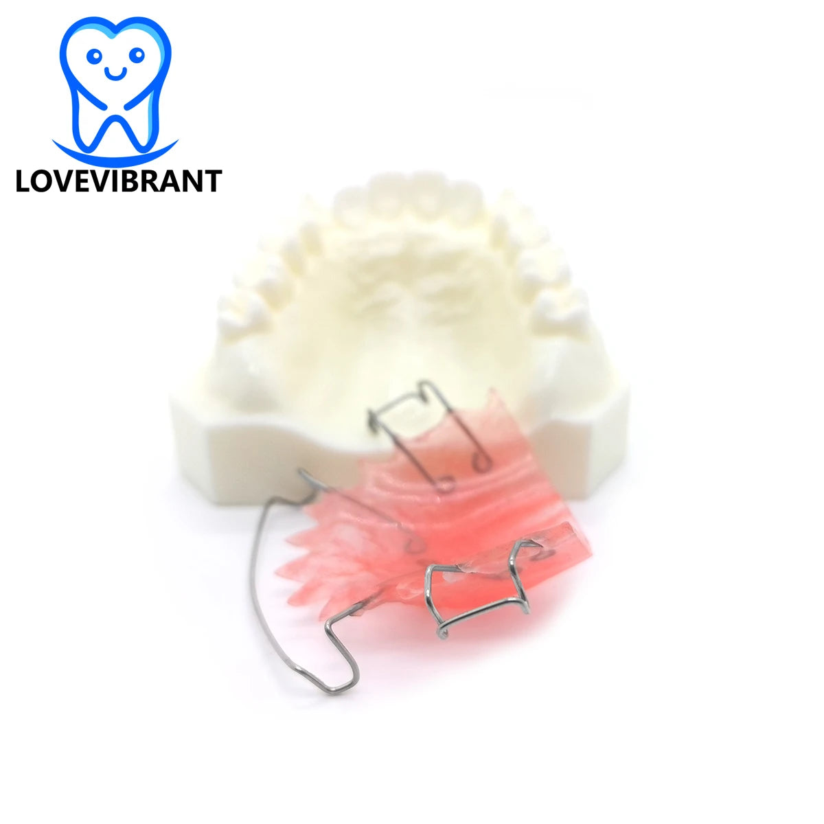 Dental Teaching Model Detachable Maxillary Orthodontics Treatment Hawley Retainer Studying Tooth Mold Dentistry Traning Tools