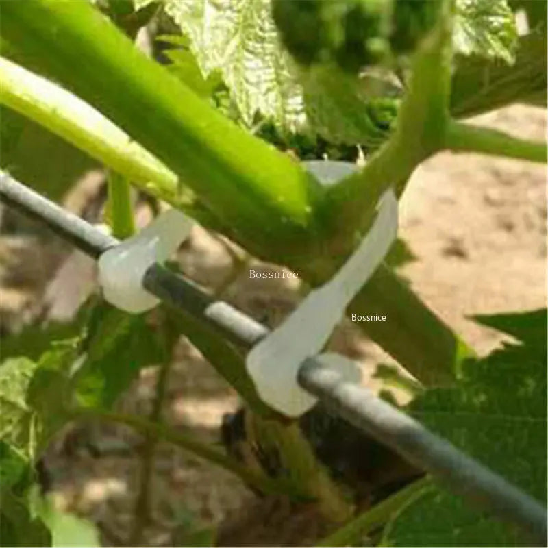 50/100Pcs Plastic Plant Fixing Clips Tomato Support Clips Grape Rack Mesh Fasteners Gardening Agricultural Bundling